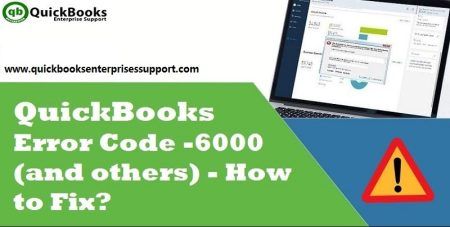 QuickBooks Error Code 6000