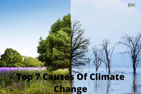Top 7 Best Causes Of Climate Change | Daily Nature Facts
